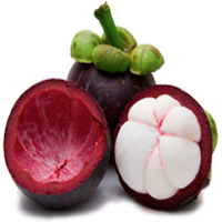 sorbet mangoustan